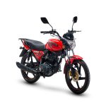 Motocicleta utilitaria Shineray SE-XY150-10D de 150 cc, ideal para desplazamientos diarios.